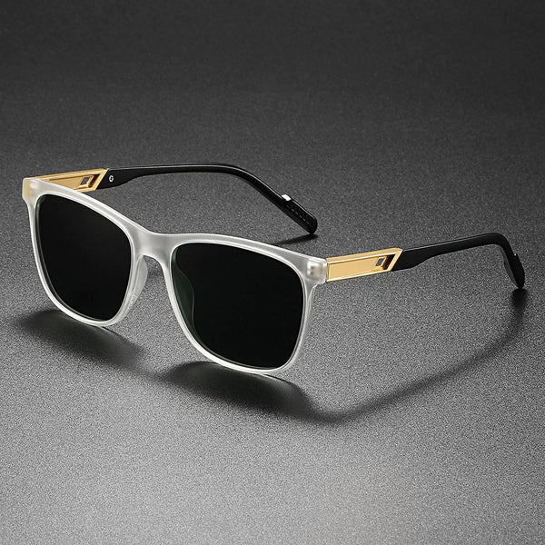 Polarized Wayfarer Sunglasses