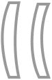 Polarized Lens 1.57 Mid-Index