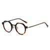 Titanium Geometric Glasses Frame SC8190