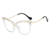 Kelsey Oversized Transparent Glasses Frame